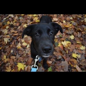 Meet your Posher, Alex